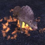 March! Fire Appearance Monster Player - Cosmetic Appearance Box (Wave 1)