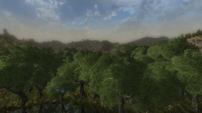 View to the west from Eitheldir