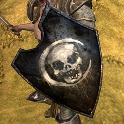 Imlad Morgul Shield Appearance