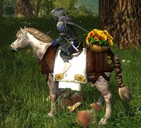 Image of Sunflower Pony