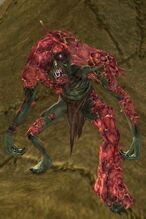 Maskless Fungal Appearance 1
