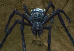 Ice Elemental Spider Appearance Weaver
