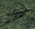 Mordor Snag Branches / Heavy Mordor Snag Branches