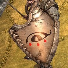 Agarnaith Shield Appearance