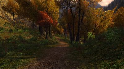 Woodland path in west Rivendell