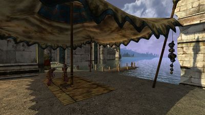 Dock and canopy within the Angmarim camp