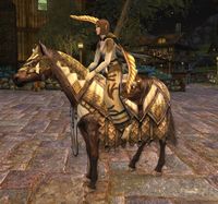 Image of Steed of Ered Mithrin