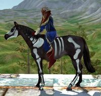 Image of Skeleton Painted Horse