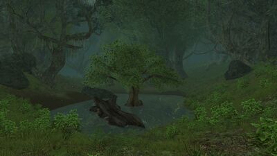 Another angle of the Creaking Vale