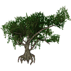 File:Tamarisk Tree-icon.png