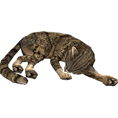 File:Sleeping Cat-icon.png