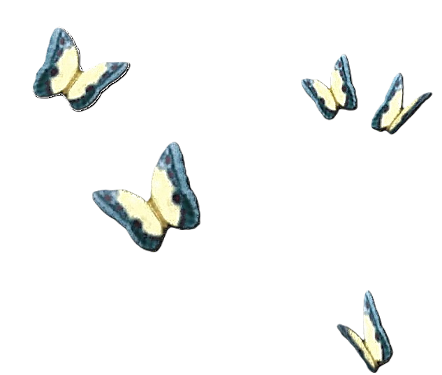 File:Butterflies Transparent-icon.png