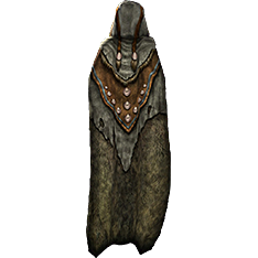 File:Ceremonial Cloak of Ajokoira-icon.png