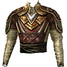 File:Ceremonial Town-saver's Jacket-icon.png