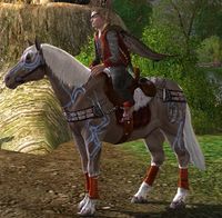 Image of Prized Algraig Pony