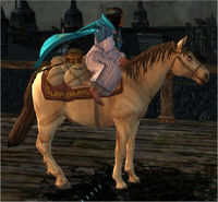 Image of Treasure Laden Pony