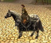 Image of Steed of the Citadel Guard (Pony)