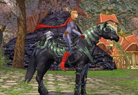 Image of Steed of the Citadel
