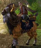 Image of Prized Tame Redhorn-goat