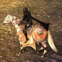 Image of Steed of the Silent Hunter