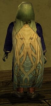 Hooded Cloak of the Watcher