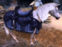 Image of Steed of Winter Winds