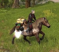 Image of Picnic Steed