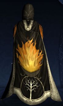 Hooded Cloak of Gondor's Aid