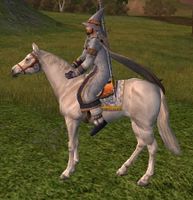Image of Grey Horse